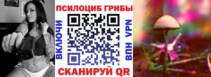 Псилоцибиновые грибы мицелий  маркетплейс клад  Рубцовск  наркотики 
